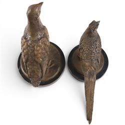 Bronze pheasant upon a circular marble base, together with a similar partridge, largest H25cm 