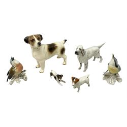 Two Karl Ens bird figures, Nuthatch and Warbler, together with Beswick English setter, Beswick Jack Russell and two other animal figures, largest example H17cm