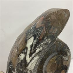 Goniatite sculpture, displaying a single goniatites within a polished and shaped matrix, age; Devonian period, H58cm