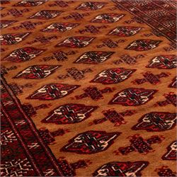 Afghan Bokhara dark amber and terracotta ground rug, decorated with Hac and Gul motifs  within multiple geometric guard bands