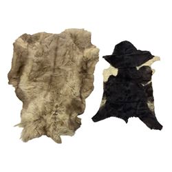 Taxidermy; Goat (Capra aegagrus hircus) pelt and deer (Cervidae) pelt, largest example L127cm