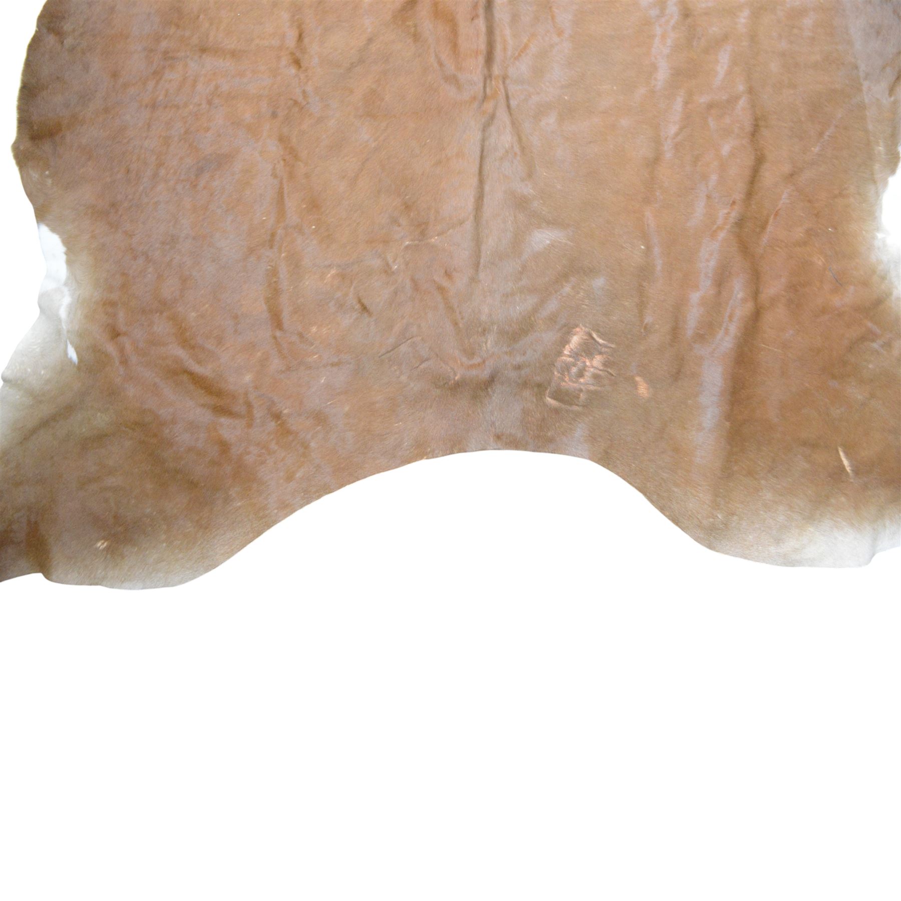 Skins/Hides: cow hide, adult hide rug with brown and white pattern, together with a pair of buffalo horn 