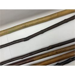 Collection of walking sticks including silver collared example and horn handles, largest L92cm 