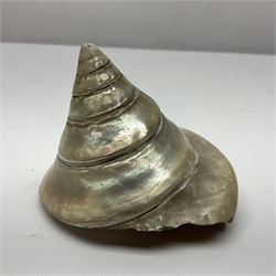 Mother of pearl nativity scene, together with mother of pearl box, shell and carved shell