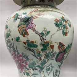 Pair of 19th century Chinese Famille Rose vases and covers, each of baluster form with domed cover and ball finial, decorated in polychrome enamels with cockerels amongst rockwork, prunus blossom and peonies, H48cm