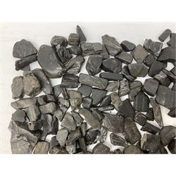 Collection of raw Whitby jet including large piece with one polished side, approx 4lbs