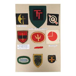 WWII Parachute Regiment cloth badges, including shoulder badge and Pegasus badge, together with military trade badges, formation signs etc   