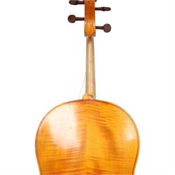 19th century cello, with two piece back and ebonised finger board, contained within a hardcase, cello back length 75cm