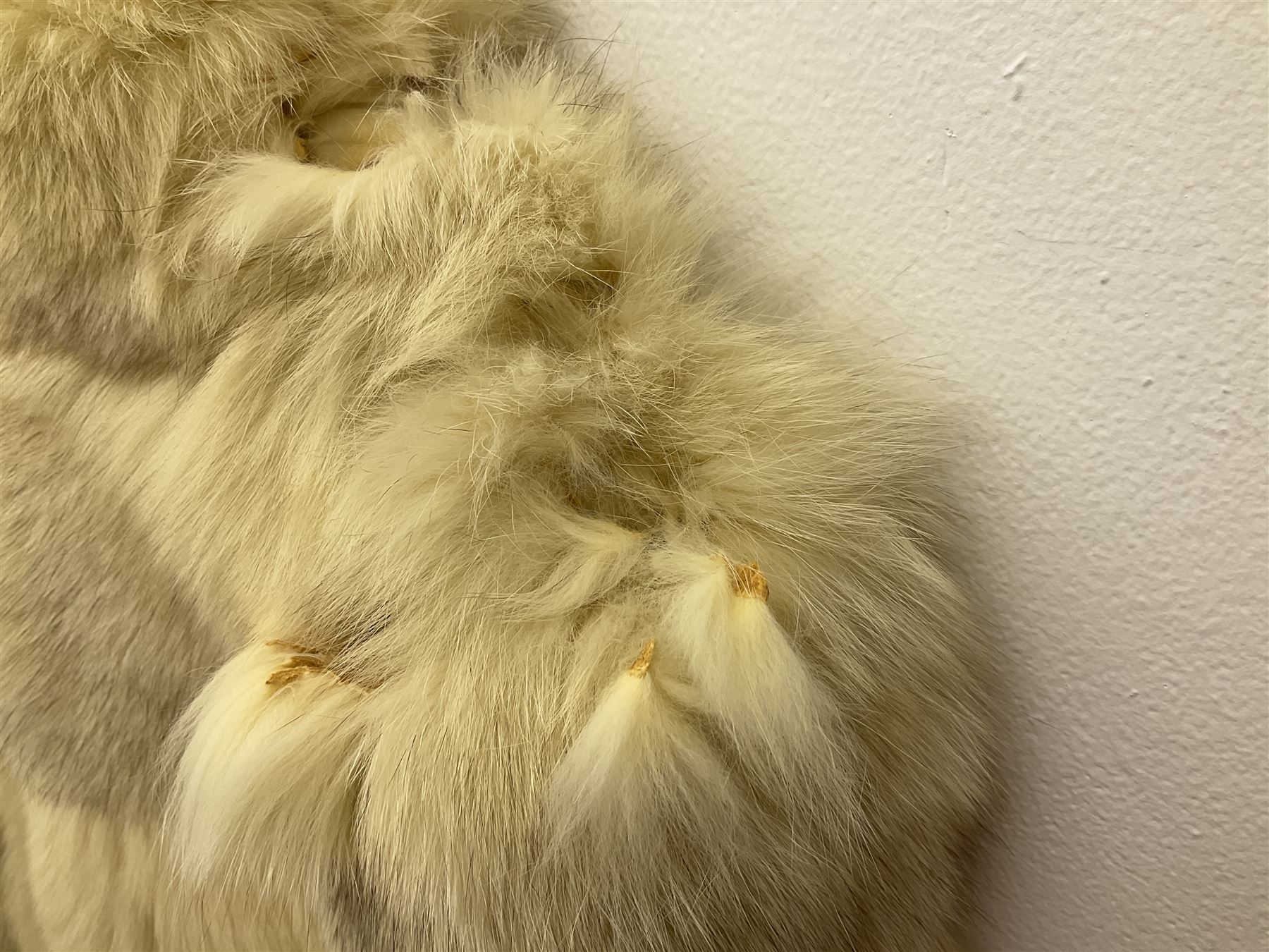 White Arctic Fox fur coat with loop fasteners 