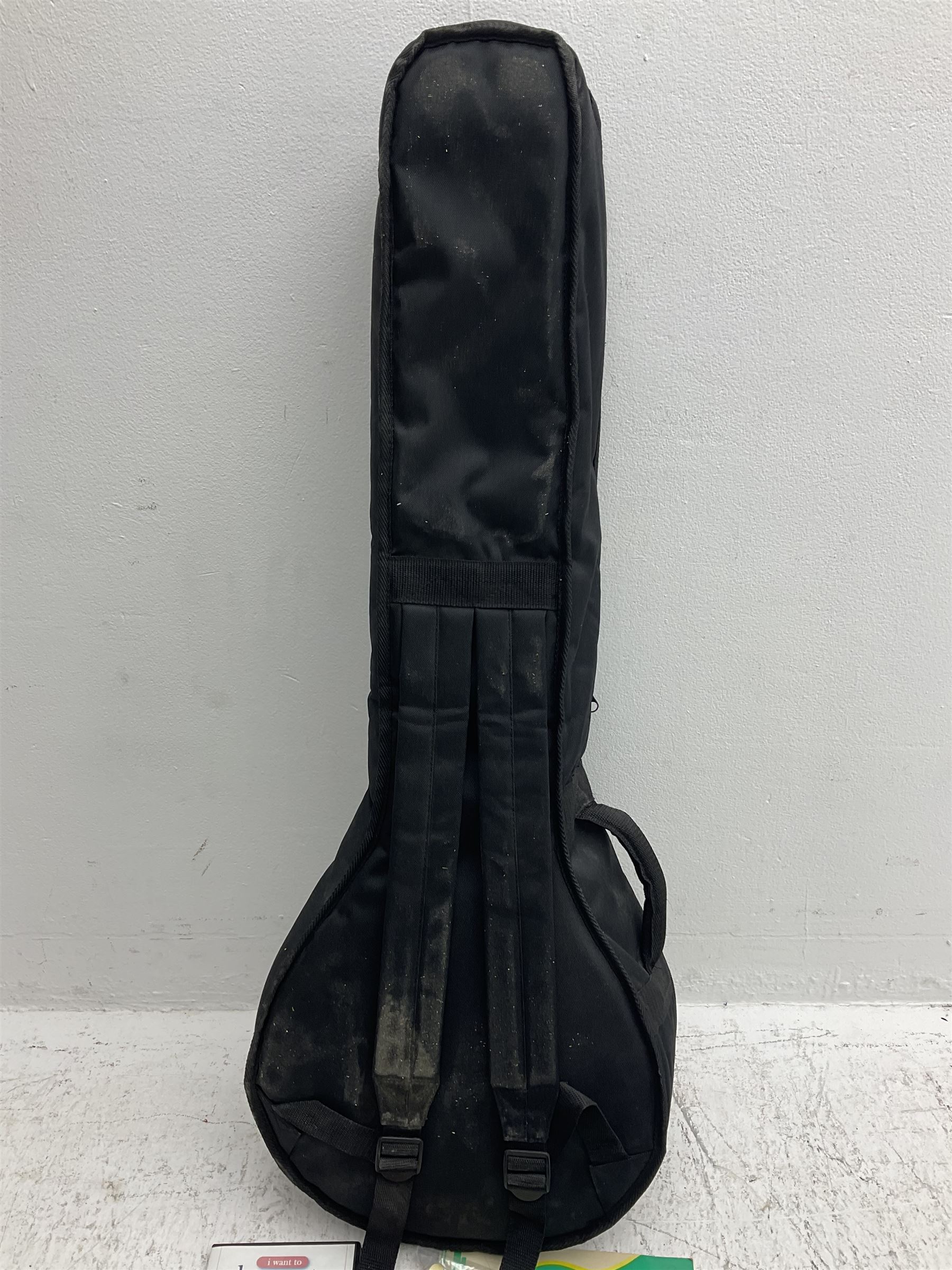 Rally five-string banjo with mahogany solid back L101cm in soft carrying case; and Brunswick Model BF200 acoustic guitar L103cm; with small quantity of instructional DVDs and booklets