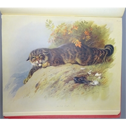  'British Mammals' vols. I and II, written & illust. by Archibald Thorburn, 50 colour plates with tissue guards, b/w illust. in text, red cloth gilt, pub. 1920, 2vols   
