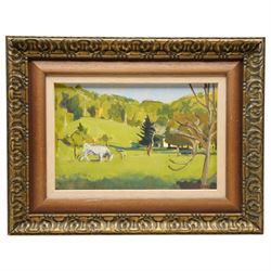 Caroline Romer (British 1955-): Horned Bull in Pasture, oil on canvas signed 21cm x 32cm