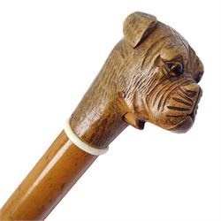 20th century walking cane, the carved wooden handle modelled as the head of a boxer dog with inset glass eyes and articulated and sprung jaw, upon a tapering Malacca shaft, L86.5cm