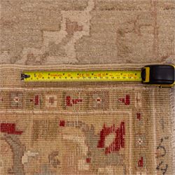 Afghan Ziegler hand-knotted carpet, soft ivory field woven with an elegant arrangement of scrolling vines and stylized palmettes with a central medallion, palette in muted tones of beige, terracotta, and blush pink, within a broad complementary border of angular floral devices and reciprocal guard stripes, fringe ends