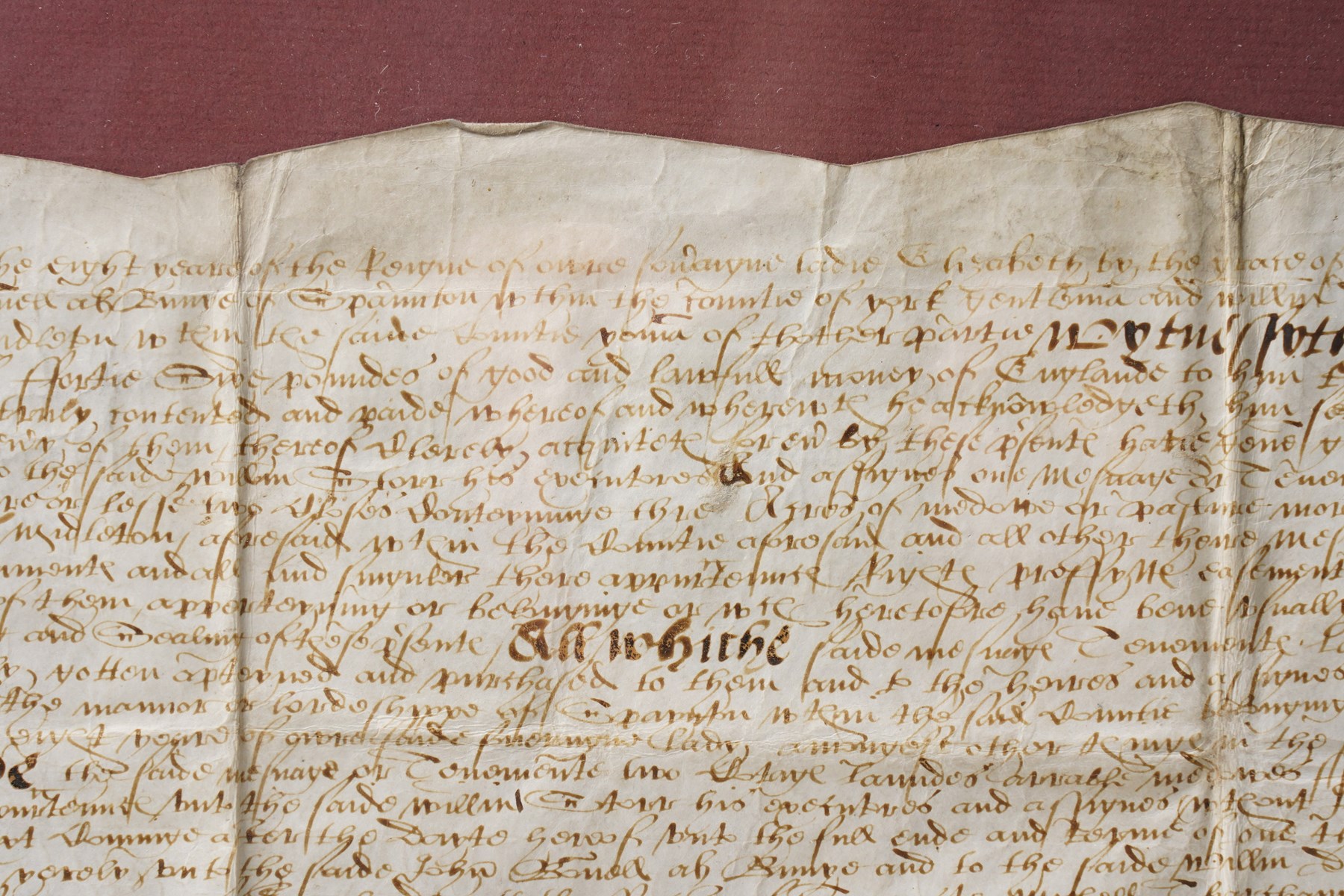 An Elizabeth 1 indenture in English secretary hand regarding the transfer of an estate in the parish of Middleton, 1566 document size 28cm x 42cm, framed 