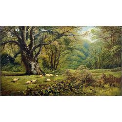 J Morris (British early 20th century): Sheep in the Shade, oil on canvas signed 29cm x 53cm