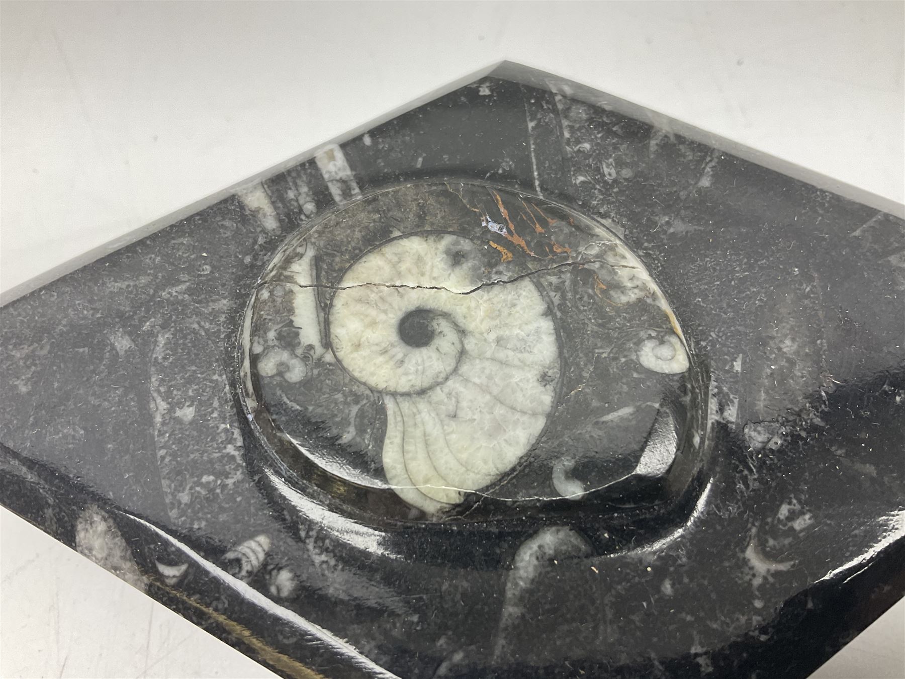 Two boxes, each in the form of a diamond with Orthoceras and Goniatite inclusions, the first with a raised Orthoceras to the lid, the second with a raised Goniatite to the lid, age: Devonian period, location: Morocco, L17cm, H5cm 