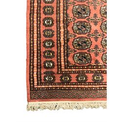 Tekke Bokhara peach ground rug, decorated with two rows of Gul motifs, repeating borders decorated with stylised plant motifs