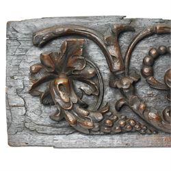 18th century oak panel carved with a cherubs head in high relief among fruit and foliage, W75cm
