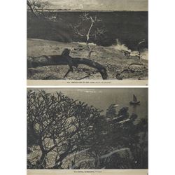 Lionel Wendt (Sri Lankan 1900-1944 - Colombo ’43 Group): 'Plumeria - Gliricidia - Vanda' a...