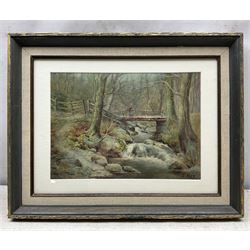 S Hey (British 19th/20th Century): A Glen in North Wales, watercolour signed 23cm x 32cm 
