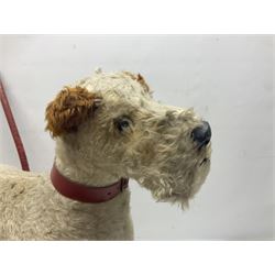 Tri ang - Pedigree Soft Toys - push along/ride-on dog as a wood wool filled plush Airedale terrier in red tubular frame with beech footrests and black rubber wheels; stitched Northern Ireland label in tact L60cm H61cm