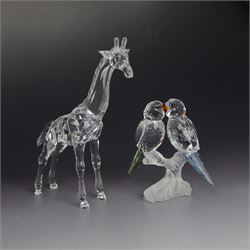 Three Swarovski figures, comprising Giraffe, Cobra and Budgies, all with original boxes  