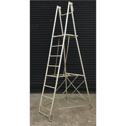 Hedge cutting ladders (H360cm0 with and two sectional Abru Starmaster DIYstep ladders (340cm and 610cm)