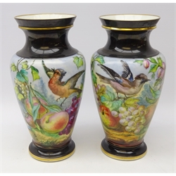  Pair porcelain baluster vases hand painted with still lives of fruit and birds with gilded borders, H33cm   