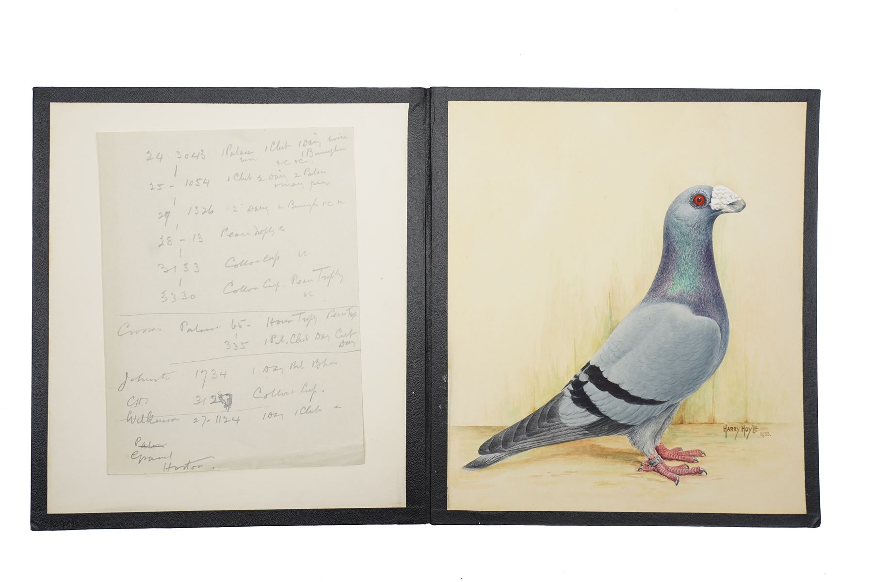 Harry Hoyle (Early 20th Century): Racing Pigeons - 'Blue Dragoon Cock 06-30' 'Blue Dragoon Hen 33-3330' and 'Blue Dragoon Cock 1918-22', set of three pencil and watercolours heightened with white, each signed and dated 1933 or 1934, accompanied with the winning history of each pigeon, each approx. 20.5cm x 18cm (3)