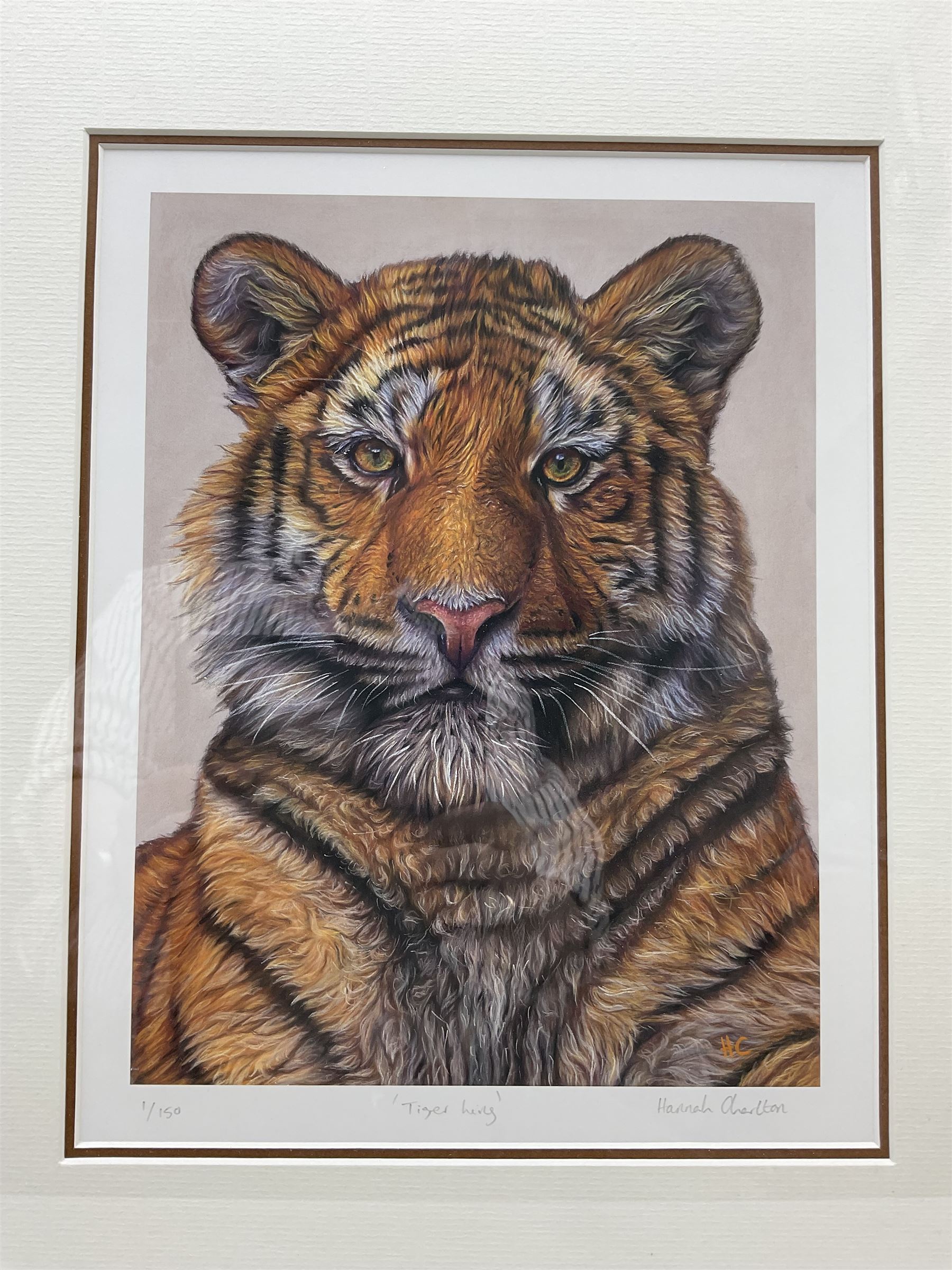 John Gledhill (British Contemporary): 'King Billy' - King William III Statue Hull, limited edition print signed and numbered 3/95 in pencil 20cm x 23cm; Hannah Charlton (British Contemporary): 'Tiger King', limited edition print signed titled and numbered 1/150 in pencil 23cm x 30cm (2)