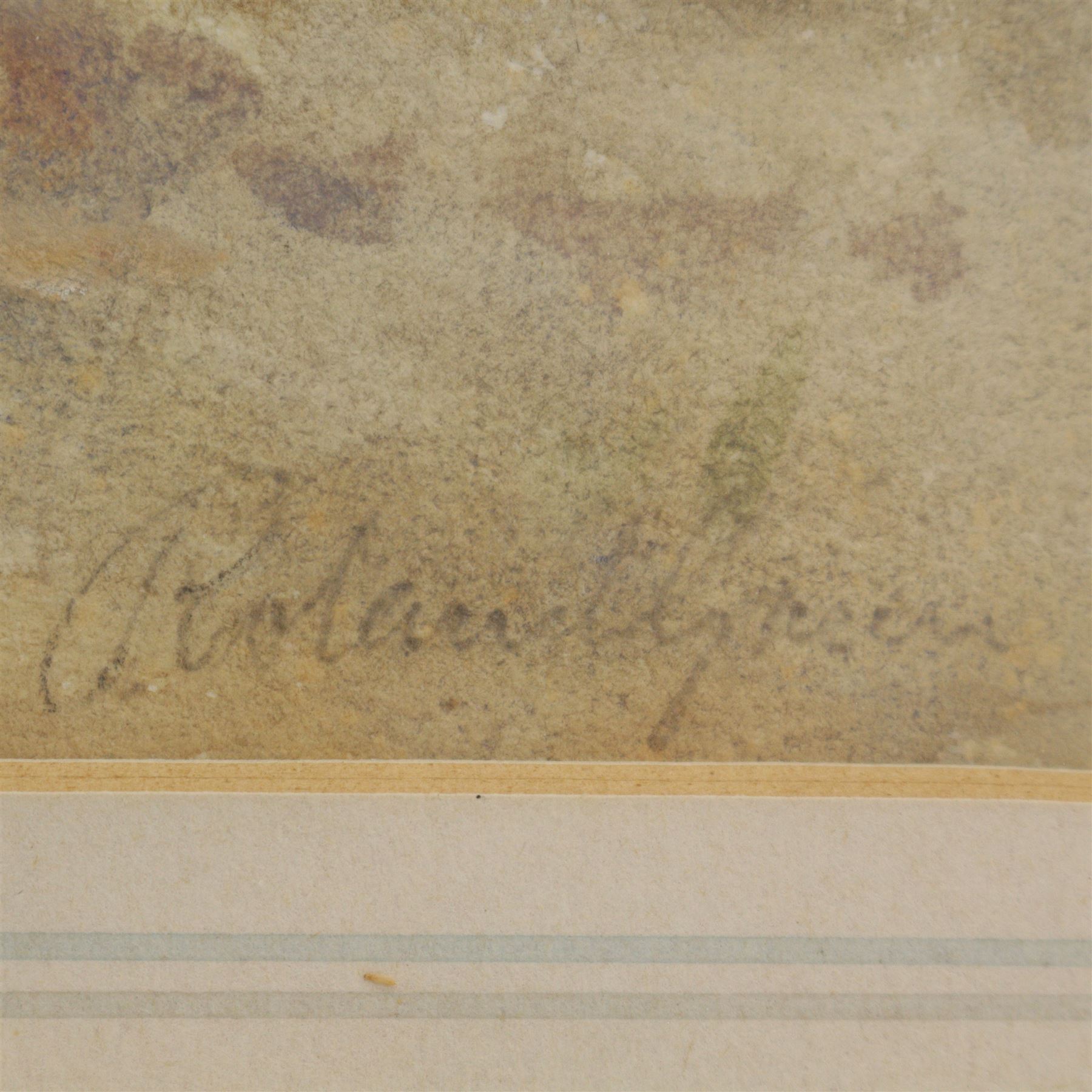 Roland Green (British 1890-1972): Sketch of a Pheasant, watercolour signed 33cm x 30cm 