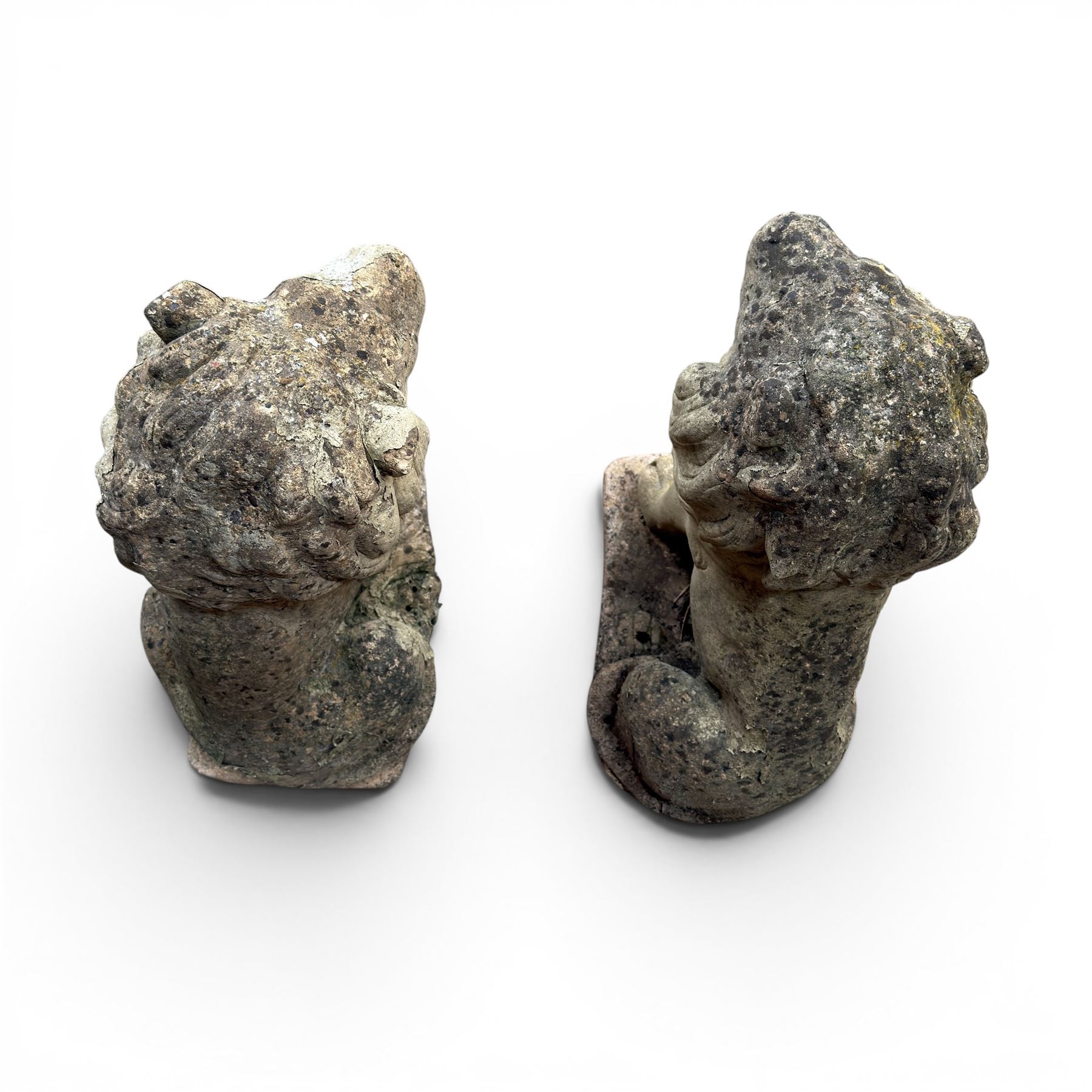Pair of cast stone garden lions, seated on rectangular plinths