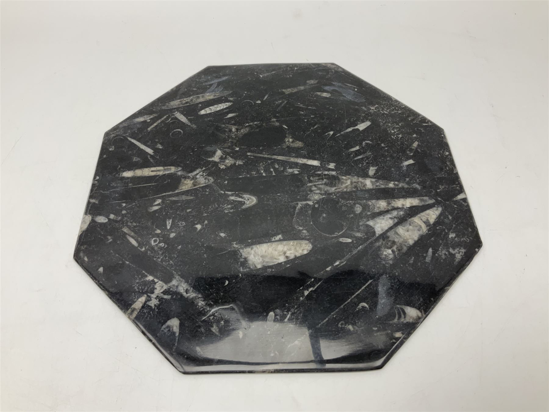 Four octagonal plates, each with Orthoceras and Goniatite inclusions, age: Devonian period, location: Morocco, D30cm