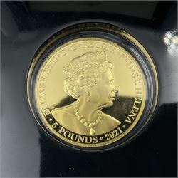 Queen Elizabeth II St Helena 2021 one ounce fine gold proof five pound 'Napoleon's Angel' coin, limited edition number 72/250, cased with certificate