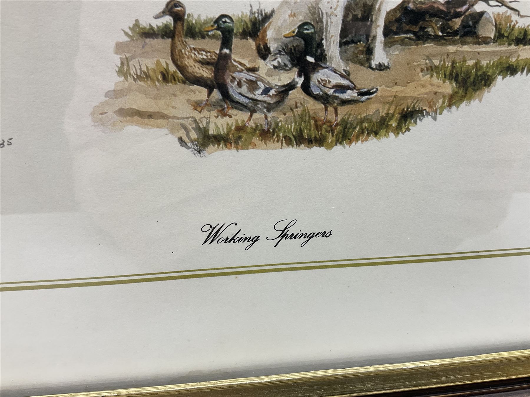 After Alan Ellison, limited edition colour print 'Working Springers' no.178/750 signed on the mount 43 x 59cm; and seven colour prints after Nigel Hemming of game birds and gun dogs; all framed (8)