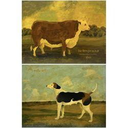 English School (20th Century): 'Bess - An English Foxhound Bitch' and 'A Broughton Bull', pair oils on board titled, unsigned 45cm x 60cm (unframed) (2)