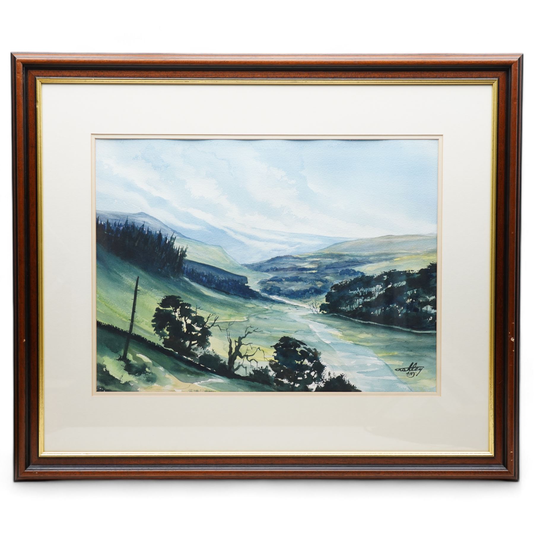 Ashley Jackson (Yorkshire 1940-): 'Muker' Swaledale, watercolour signed, titled on accompanying certificate of authenticity 41cm x 55cm
Provenance: Purchased directly from the artist as part of his TV series 'A Brush with Ashley'