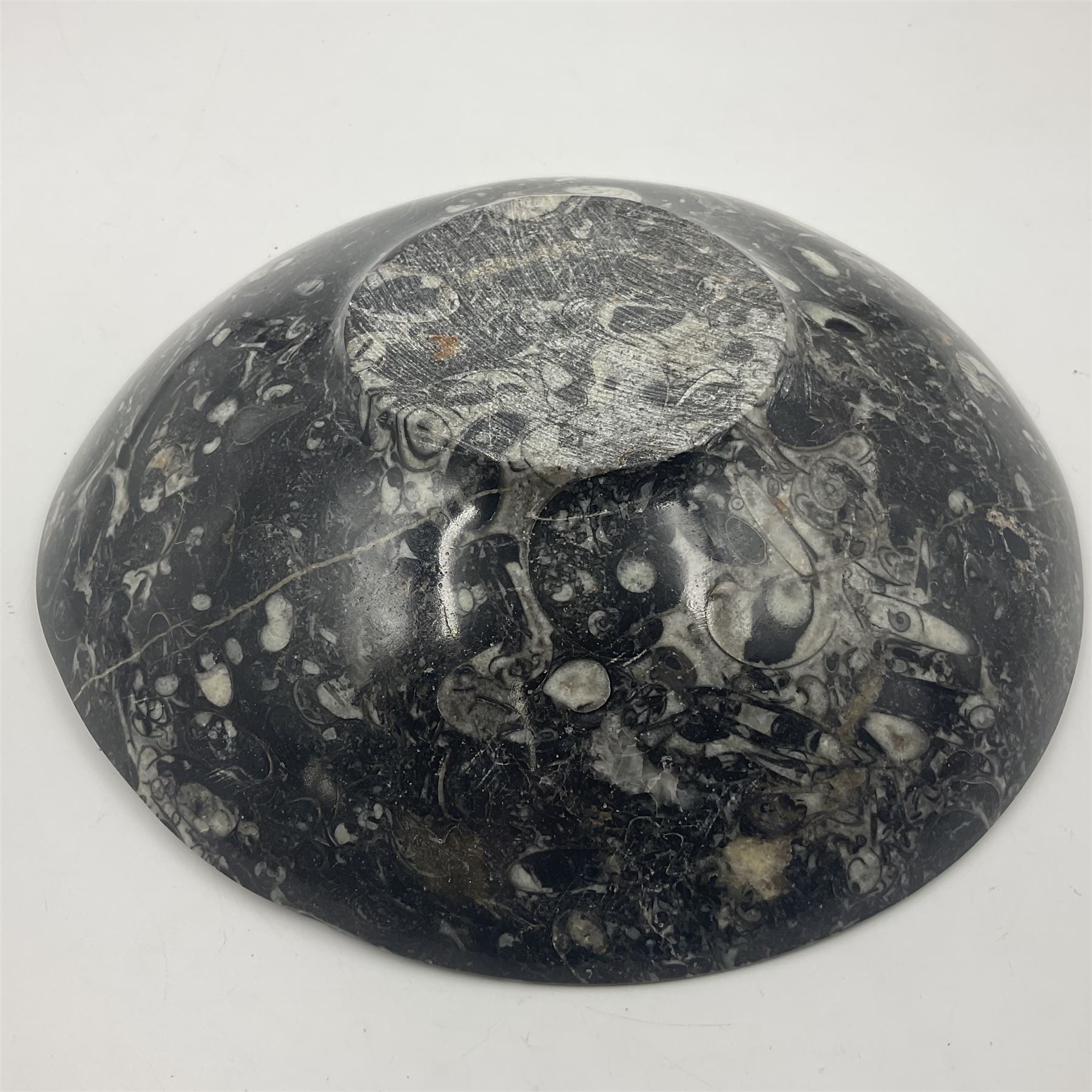 Circular dish with a raised goniatite, with orthoceras and goniatite inclusions, age: Devonian period, location: Morocco, D22cm, H5cm
