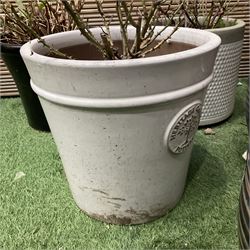 Set of six garden planter pots  - THIS LOT IS TO BE COLLECTED BY APPOINTMENT FROM DUGGLEBY STORAGE, GREAT HILL, EASTFIELD, SCARBOROUGH, YO11 3TX