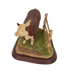 Three Border Fine Arts cow figure groups, comprising Belgian Blue Cow and Calf A1252, Hereford Bull A20848 and Simmental Bull L102