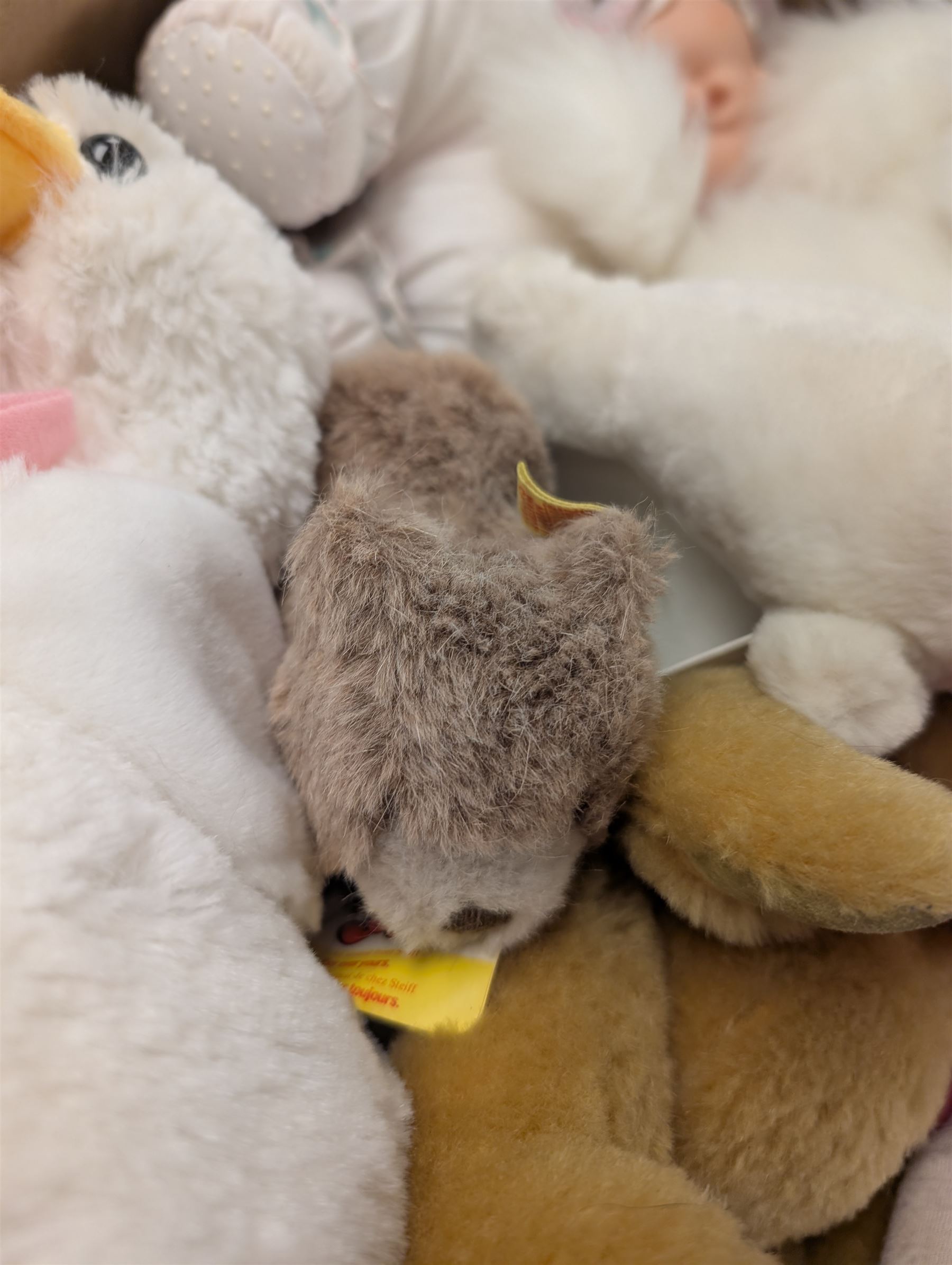 Steiff seal and a Steiff bear, Canterbury bear, Cabbage Patch doll and other soft toys