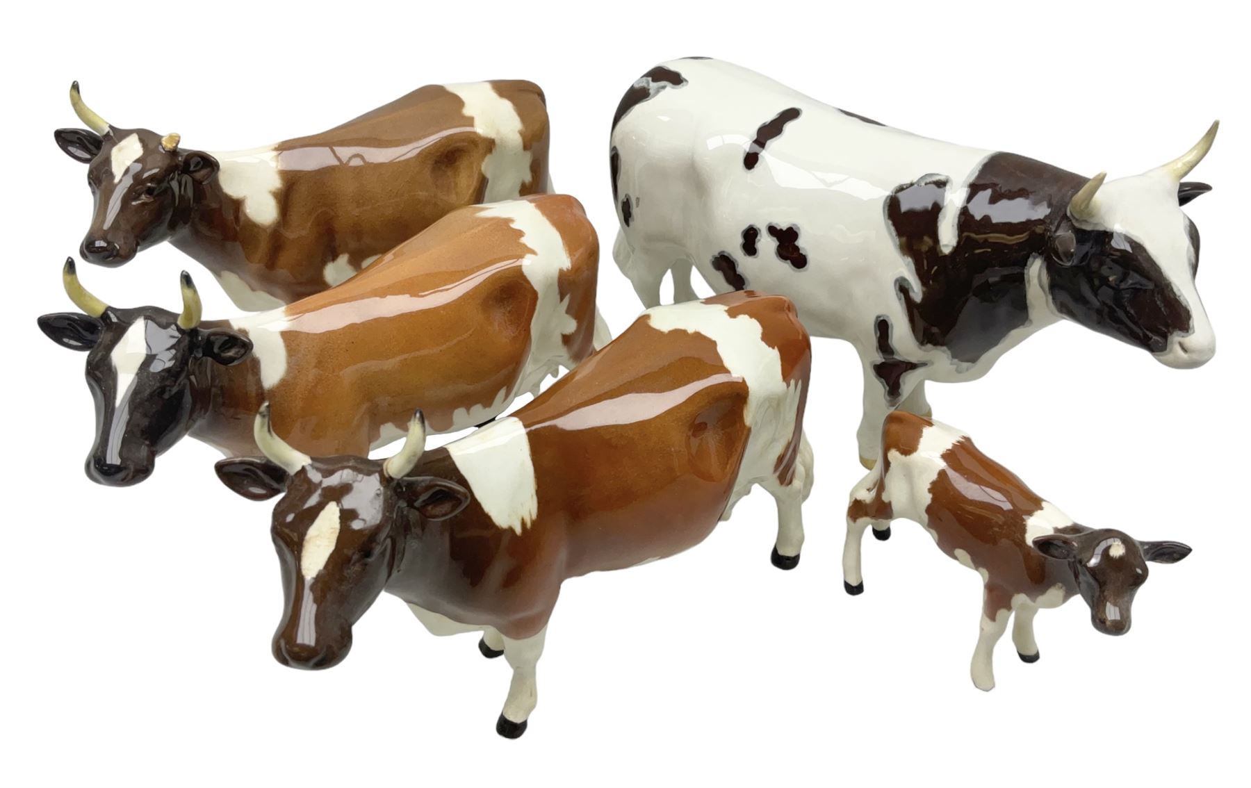 Five Beswick figures of cattle Comprising Ayrshire Bull Ch Whitehill Mandate, no 1454B, three Ayrshire Cow Ch Ickham Bessie, no 1350 and Ayrshire Calf, no 1249B, all with printed marks beneath