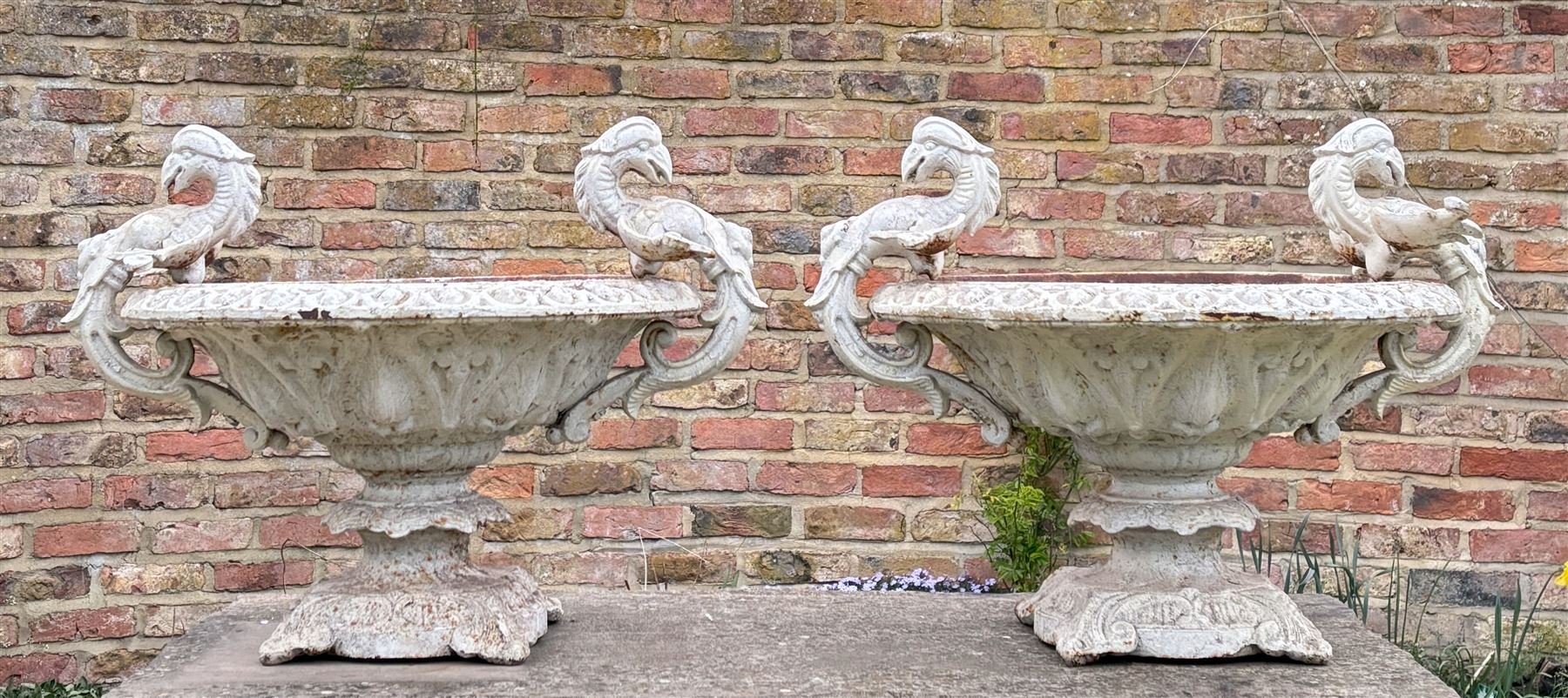 Pair of French cast iron garden urns with griffon handles. H50cm.  - COLLECTION BY APPOINTMENT FROM: The White House, Thirsk Road, Easingwold, York, YO61 3NF - CALL 01723 507111 TO ARRANGE