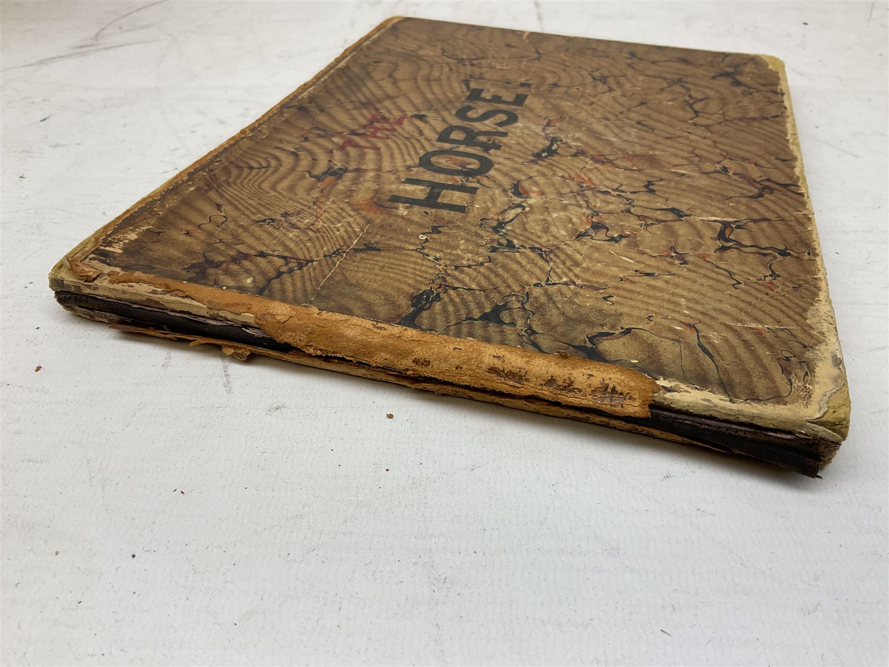 A. Schwarz, The Horse; Its External and Internal Organisation, An Illustrated Representation and Brief Description, Revised and Edited by George Fleming, London, George Philip & Son, with fold out anatomical plates