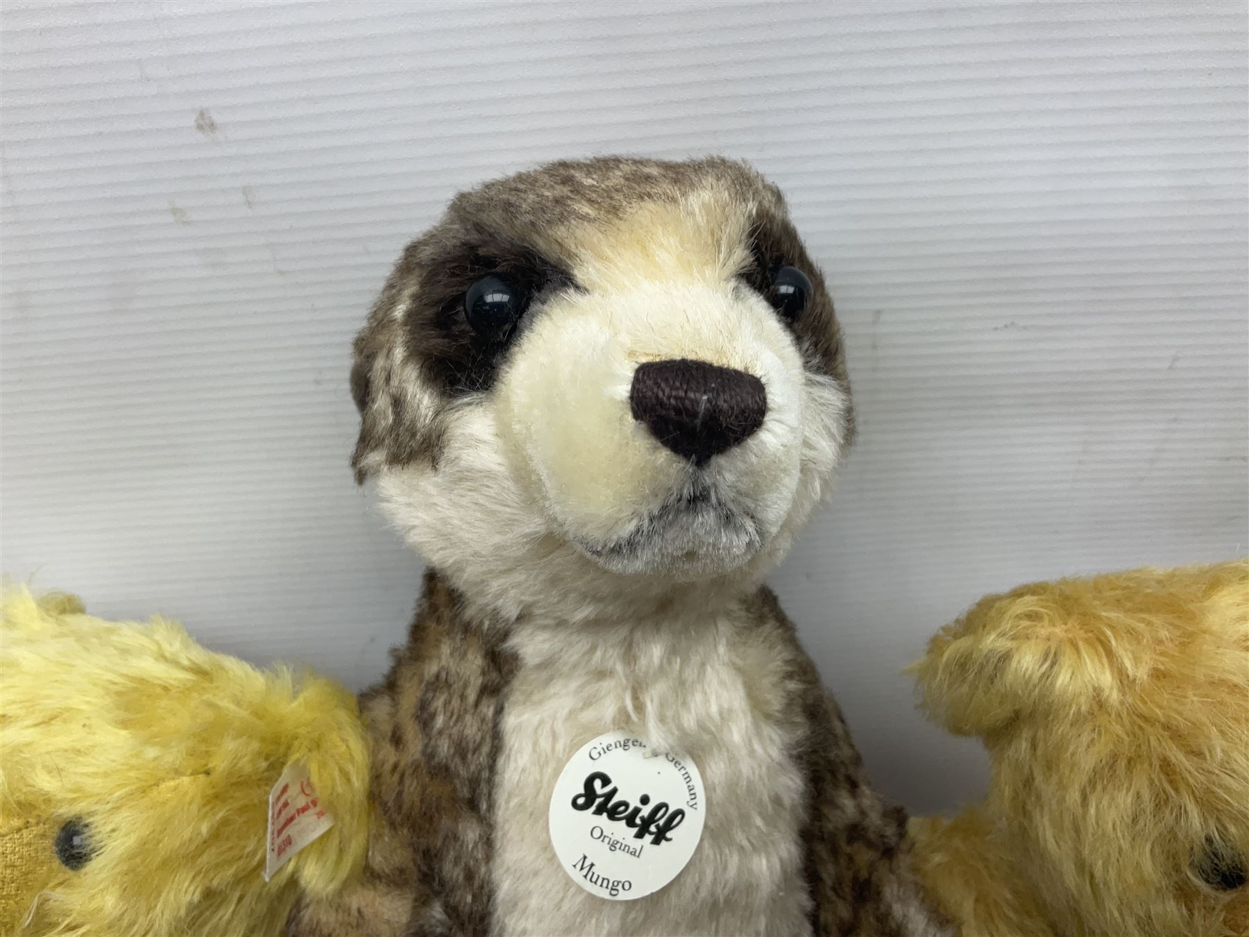 Seven modern Steiff teddy bears comprising two limited edition '1908 Paul the Growler' bears Nos.1124/3000 and 1310/3000; 028649 Classic Teddybear 23; 005992 Classic Teddybear 28 (black); 071249 Mungo Meerkat 30; 079139 Reclining dog for American Kennel Club; and 029561 Petsy gespitzt (1928) 16cm; together with a Mrs. McCatty's limited edition 2156 Sophie bear No.1557/1750; all unboxed but most with labels (8)