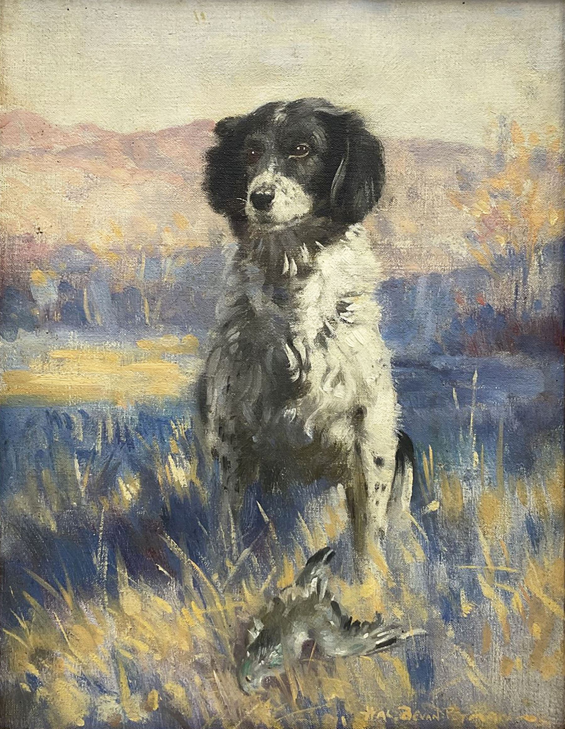 Henry Charles 'Hal' Bevan-Petman (Scottish 1894-1980): Portrait of a Spaniel, oil on canvas signed and dated '52, 37cm x 29cm