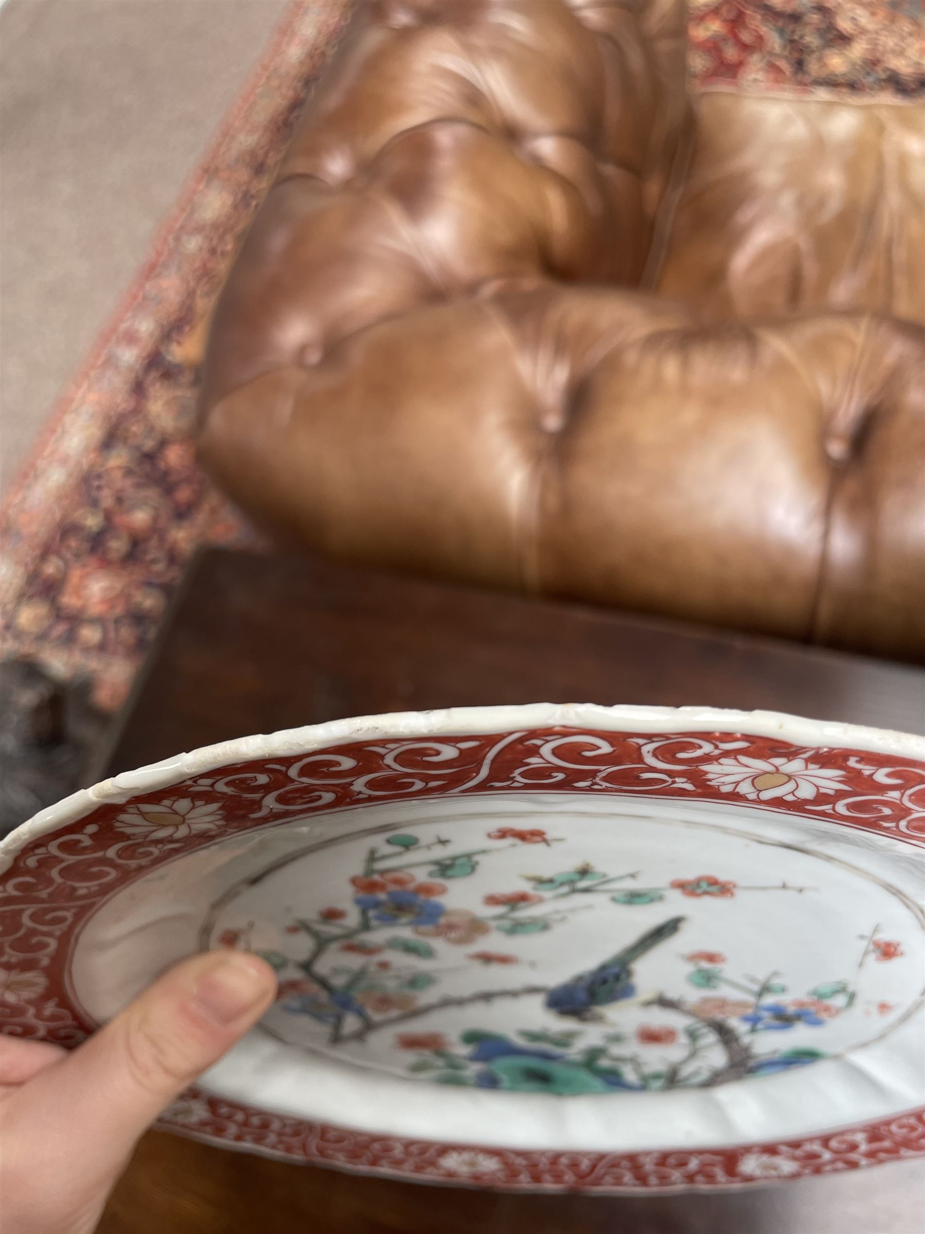 Chinese Kangxi famille verte plate, decorated with a bird perched upon a blossoming branch, within an iron red foliate border, D22cm
