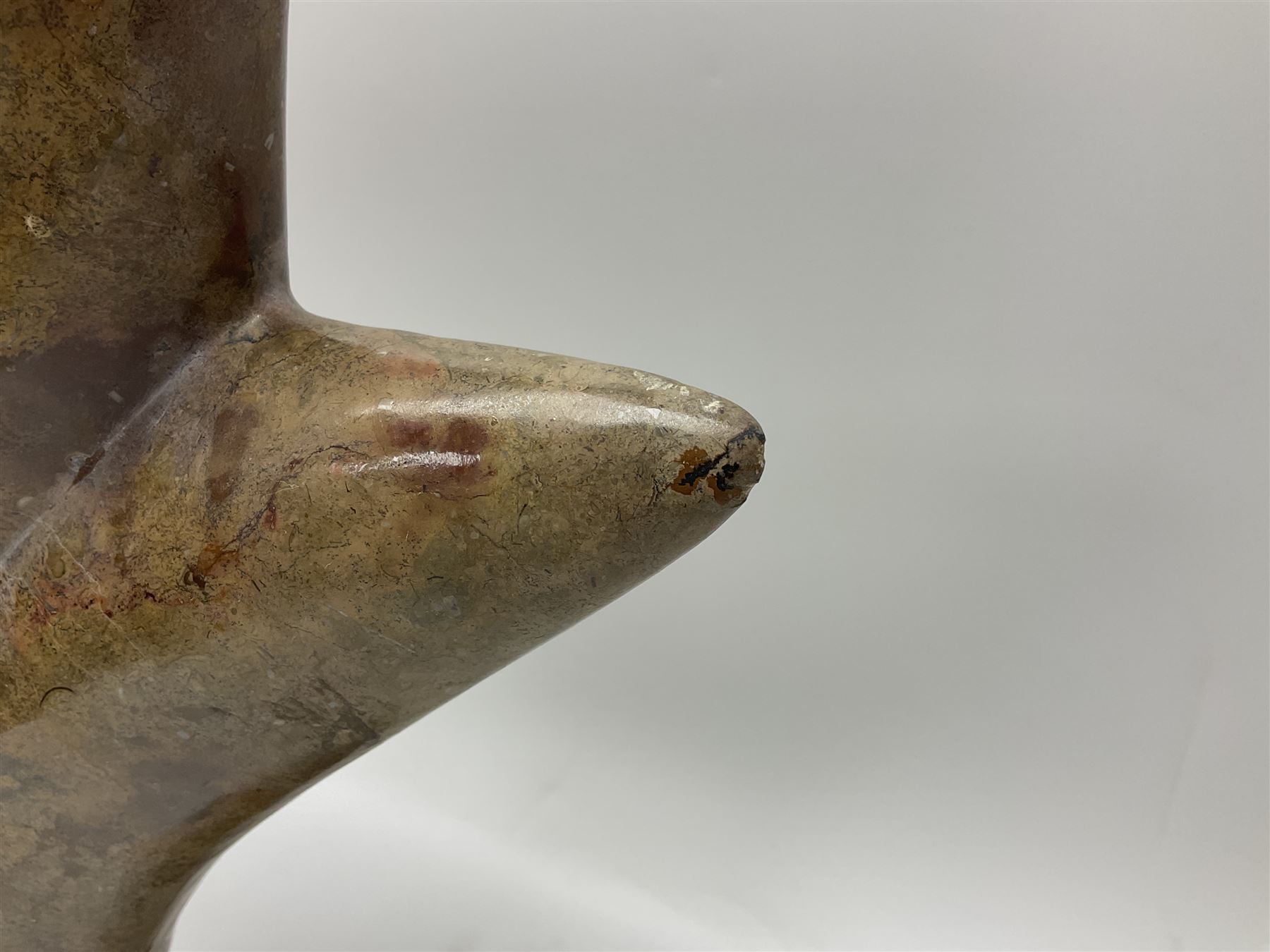 Goniatite sculpture, displaying two Goniatites within a polished and shaped matrix, age; Devonian period, H56cm