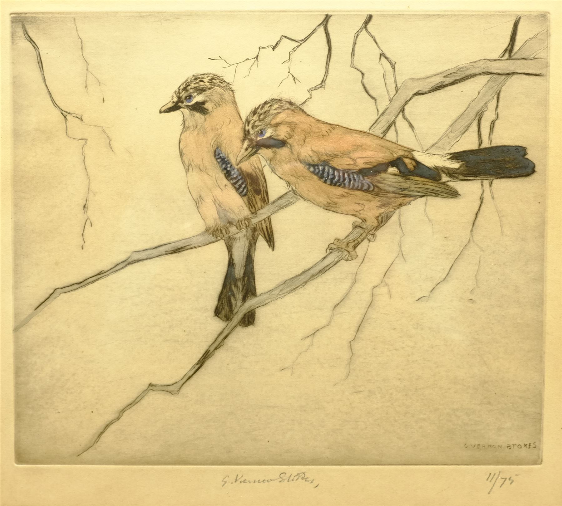 George Vernon Stokes (British 1873-1954): Jay Birds on a Branch, limited edition coloured etching signed and numbered 11/75 in pencil 28cm x 31cm